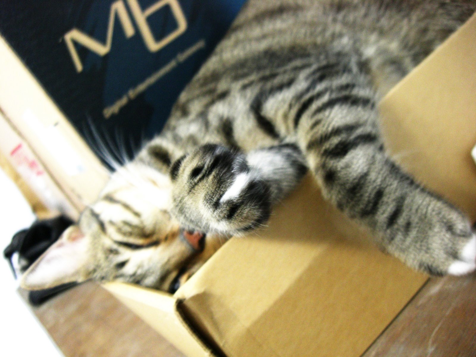 Featured image of post 睡臉